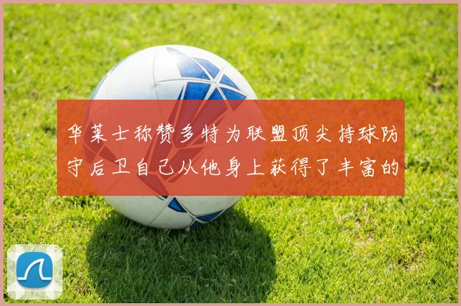 华莱士称赞多特为联盟顶尖持球防守后卫自己从他身上获得了丰富的经验与启发